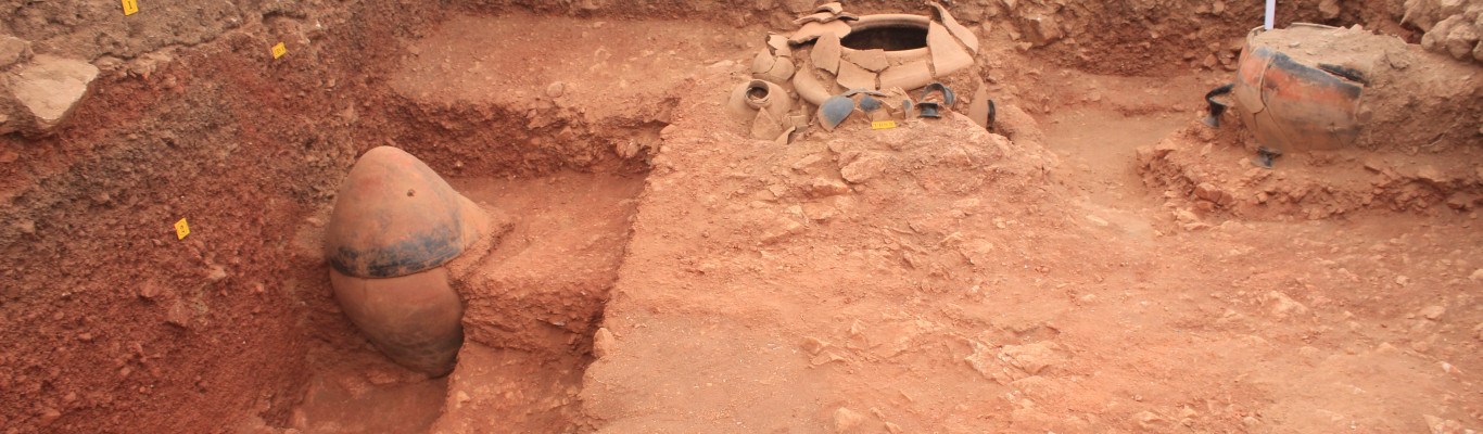 Archaeological Excavationn at Adichanallur, Thoothukudi District